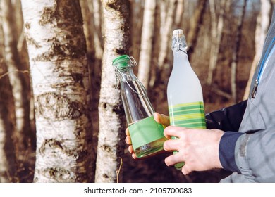 Man hands holding healthy 3 days fermented birch(Betula) sap drink, white color. Fermented with flour and sugar and regular fresh birch sap in clear bottle. Birch trees on back. 