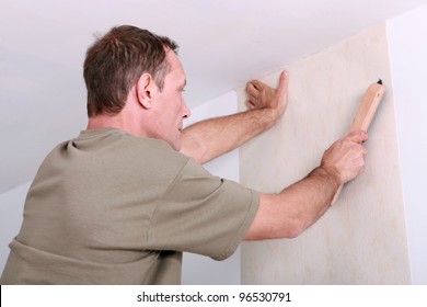 Man Hanging Wallpaper