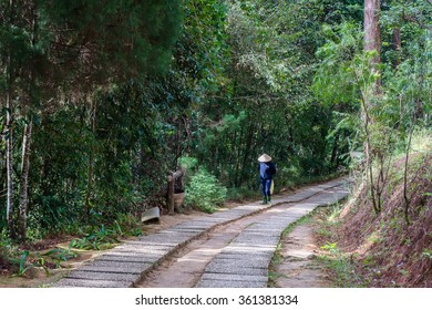 man with hat walking in forest
