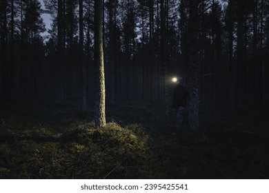 A man with a headlamp wanders through a pine forest in dark. 