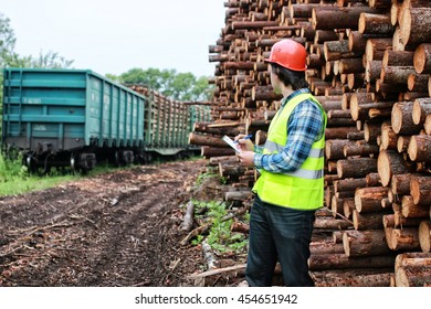 Man In Helmet Worker Wood Lumber