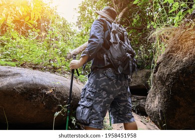Man with hiking equipment and trekking in the forest alone. Solo outdoor activity and recreation on summer vacation.