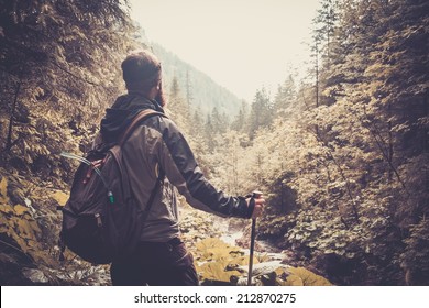 Man With Hiking Equipment Walking In Mouton Forest