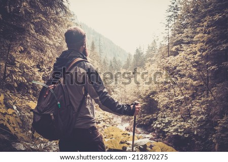 Man with hiking equipment walking in mouton forest