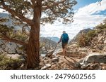 Man with hiking equipment walking in Sierra Nevada mountains, California, USA