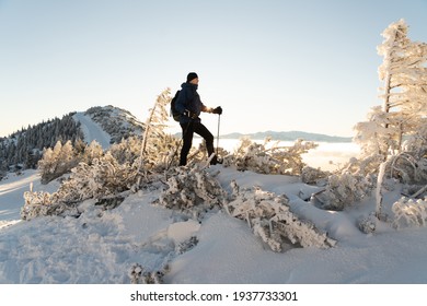 The man is hiking up the mountain at sunrise and fog in winter, Hochkar.
