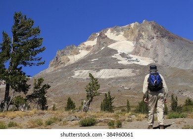 Man Hiking In Mt. Hood, Oregon