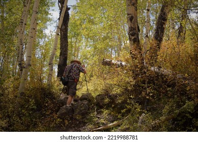 Man Hiking On Trail Over Rocks Amid A Colorful Aspen Forest With Walking Sticks.