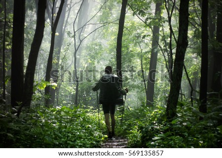 Man hiking in the woods after the rain stopped and the sun now shines through the forest.
