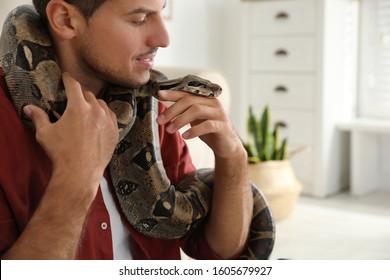 Man With His Boa Constrictor At Home. Exotic Pet