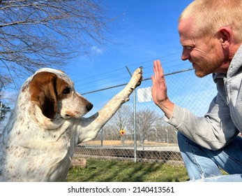 Man And His Dog Give High Five Outside, Positive Reinforcement Training 