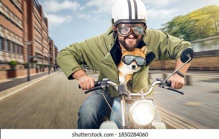 Man And His Dog Riding A Motorcycle In The City