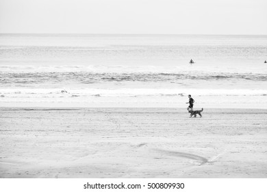 Man and his dog run in the beach