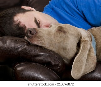 Man And His Dog Sleeping Together On A Couch