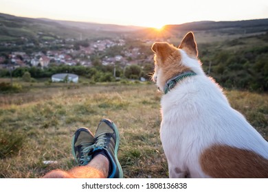 Man And His Dog Watching The Sunset On A Hill Over The Village (own Point Of View)