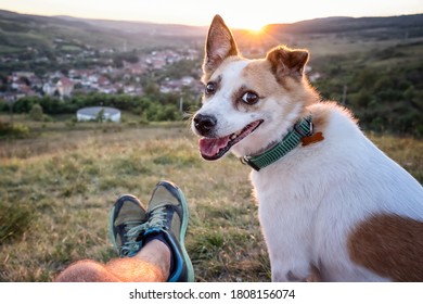 Man And His Dog Watching The Sunset On A Hill Over The Village (own Point Of View)