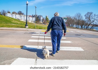 A Man And His Dog - Westie -  Crossing Street At Crosswalk Near River In Tulsa Oklahoma - Selective Focus