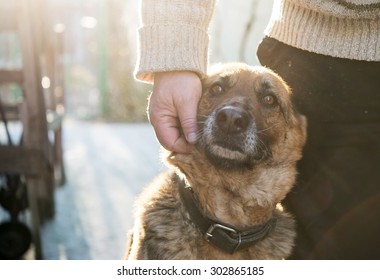 Man And His German Shepherd Dog