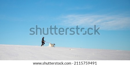 Similar – Image, Stock Photo much blue, much white and a little bit of dog