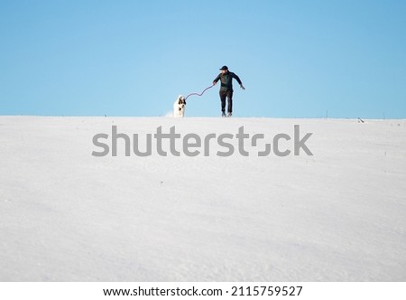 Similar – Image, Stock Photo much blue, much white and a little bit of dog