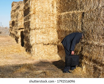 Man With His Head Stuck In Haystack