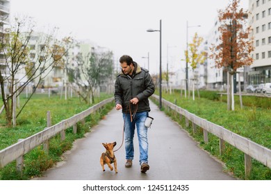 A man and his little dog are practicing "walking to heel" in the park