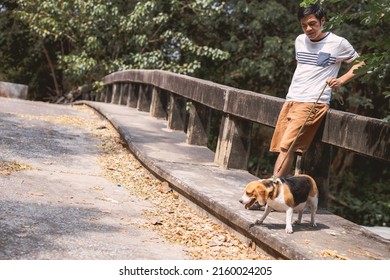 a man with his pet beagle dog walking outdoor morning authentic real people film tone