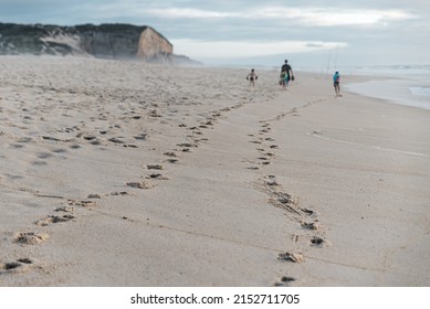 A Man With His Sons Walking Along The Sandy Beach In Denmark, Romo