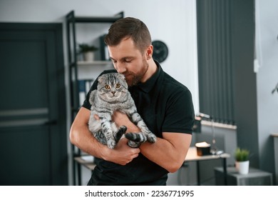 Man is holding the animal in hands. Groomer is taking care of scottish fold gray tabby cat indoors. - Shutterstock ID 2236771995