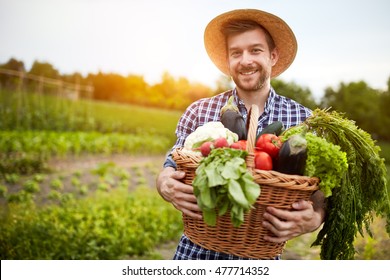 Man Holding Basket With Healthy Organic Vegetables 