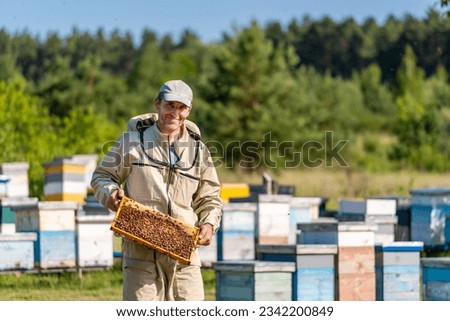 Man holding a beehive among a group of beehives in a beekeeping farm. A man holding a beehive in front of a bunch of beehives