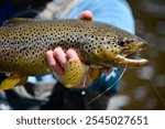 Man holding a big trout he caught fly fishing in a river in the summer