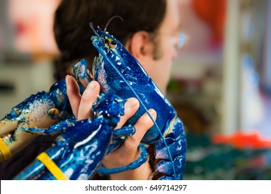 Man Holding Blue Lobster