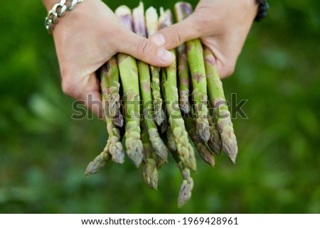 Similar – Grüne Spargel kochen