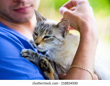 Man Holding A Cat