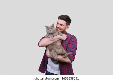 Man Holding Cat In Hands. British Gray Cat. Man With Cat Smiling. Isolated