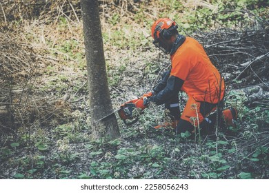 Man holding a chainsaw and cut trees. Lumberjack at work wears orange personal protective equipment. Gardener working outdoor in the forest. Security professionalism occupation forestry worker concept - Powered by Shutterstock