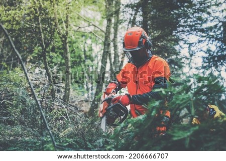 Man holding a chainsaw and cut trees. Lumberjack at work wears orange personal protective equipment. Gardener working outdoor in the forest. Security professionalism occupation forestry worker concept