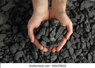 Man Holding Coal In Hands Over Pile, Top View