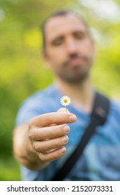 3,593 Sexy daisy flower Images, Stock Photos & Vectors | Shutterstock