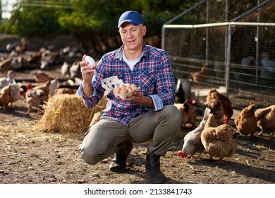 Man Holding Duck Egg At Poultry Farm