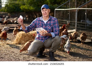 Man Holding Duck Egg At Poultry Farm