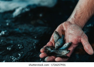 A man holding fishes with blur background