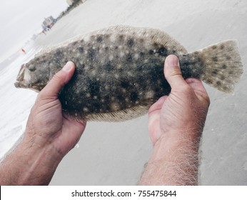 Man Holding Flounder At Beach