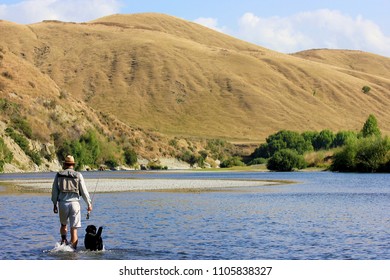 Man holding a fly fishing rod, with a black labrador dog, are walking away from the camera in a river on the North Island in New Zealand - Powered by Shutterstock