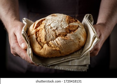 A man is holding fresh rye wheat loaf of bread on a cotton towel. Closeup on dark background
