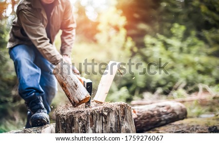 Man holding heavy ax. Axe in lumberjack hands chopping or cutting wood trunks . 
