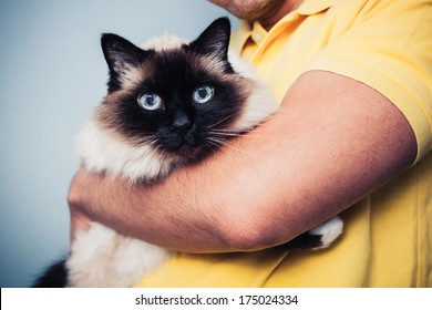 Man Holding His Birman Cat