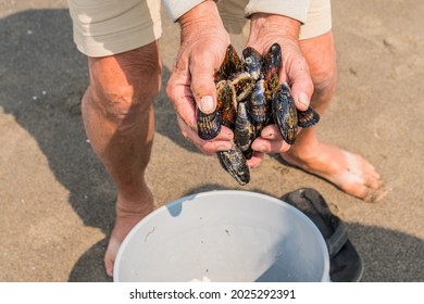 Hold Tide Images Stock Photos Vectors Shutterstock