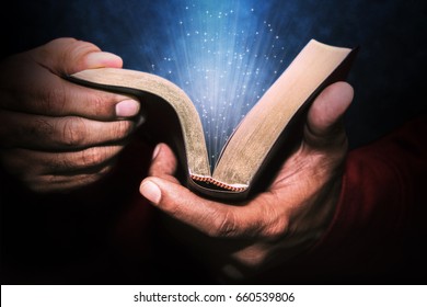 Man Holding The Holy Bible.